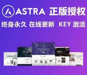 20250105185047 Astra Pro Official License