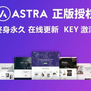 WordPress插件正版激活官方正版key授权可更新合集