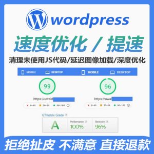 wordpress foreign trade site performance optimization standalone site acceleration boost pagespeed insights score