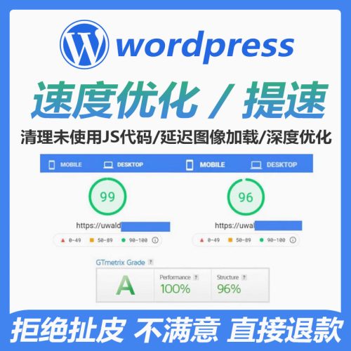 wordpress外贸站性能优化独立站加速提升pagespeed insights评分