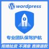 wordpress foreign trade site performance optimization standalone site acceleration boost pagespeed insights score